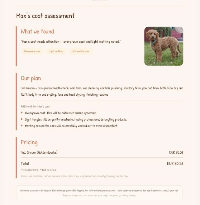 Pre-appointment AI scan report — coat assessment, plan and pricing