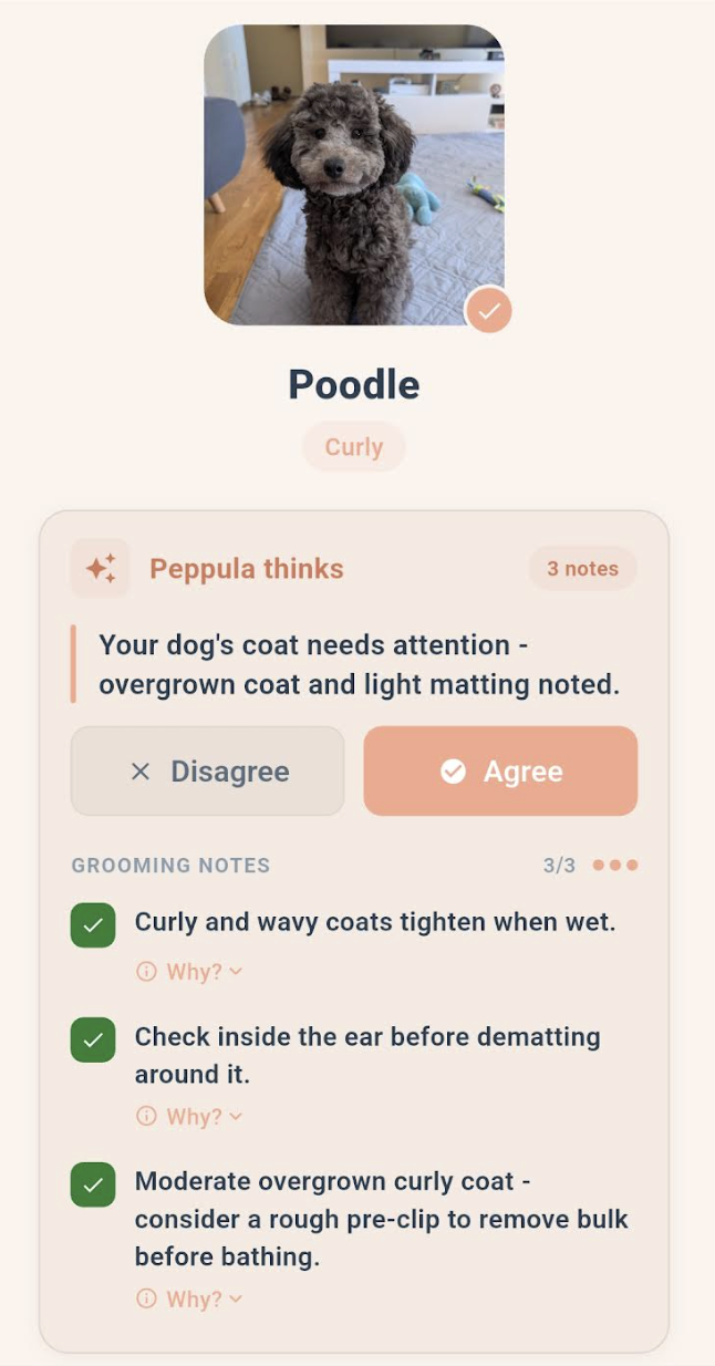 Peppula assessment screen — AI grooming notes for a poodle