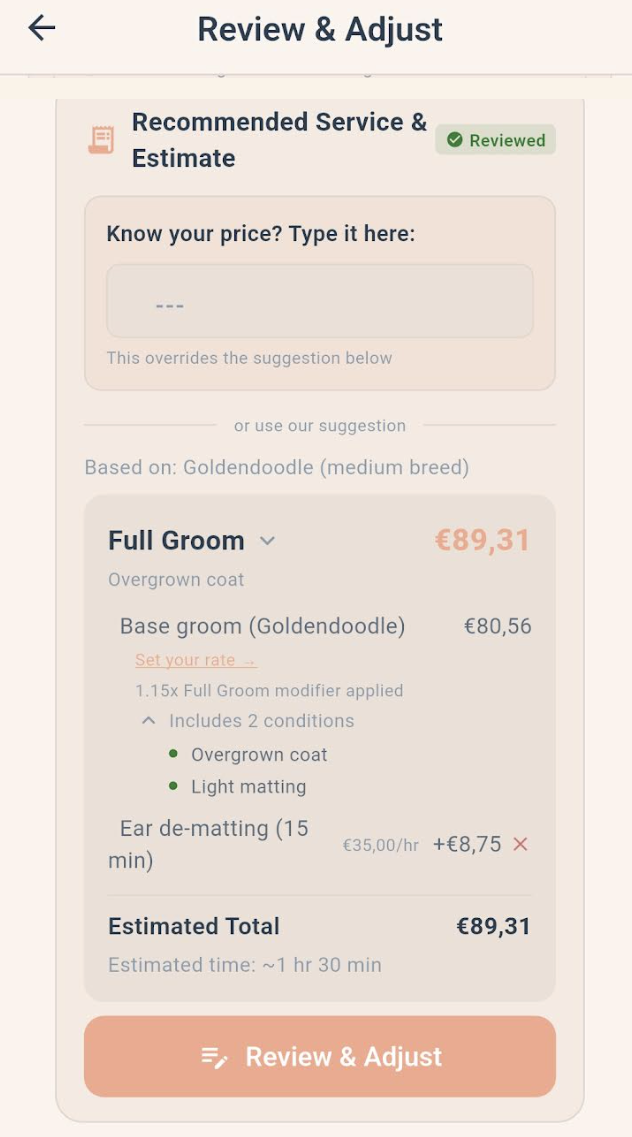 Dynamic Pricing